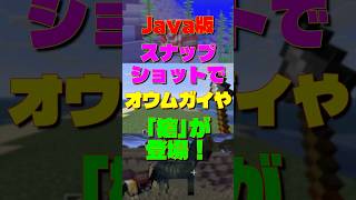 【マイクラ】Java版スナップショットでついにオウムガイや槍が登場！　#マイクラ #マインクラフト #minecraft #最新アプデ情報 #snapshot #shorts
