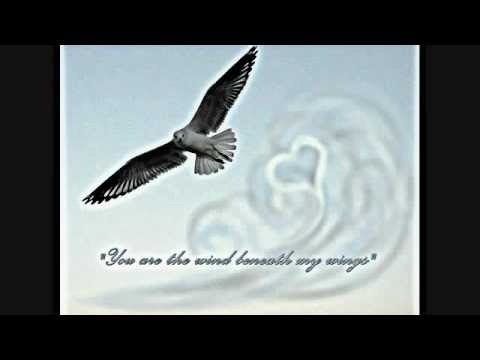 Wind Beneath My Wings (Voni Garrett)