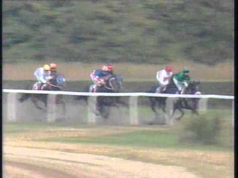 Alfkona - BBAG Baden-Baden Díj "rosivalracing.com"