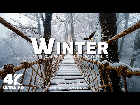 Winter Wonderland 4K – Stunning Snowy Landscapes & Frozen Nature