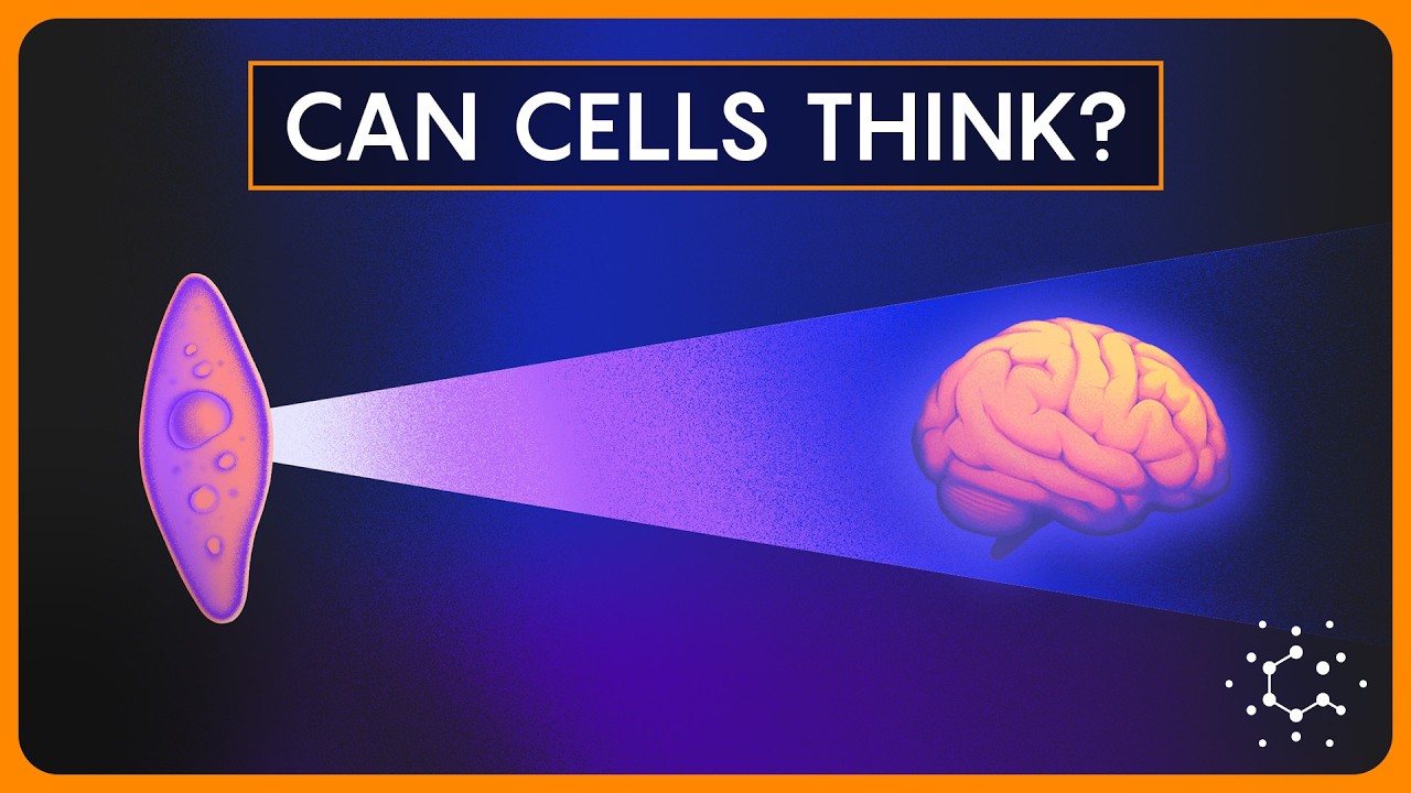 What If Intelligence Doesn't Need a Brain?