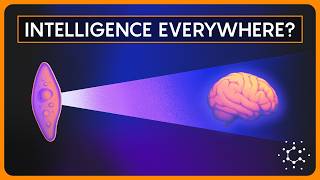 Thumbnail for What If Intelligence Doesn't Need a Brain?