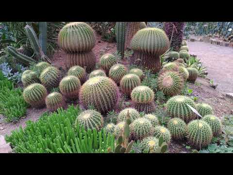 Green World Ecological Farm的圖片影音連結