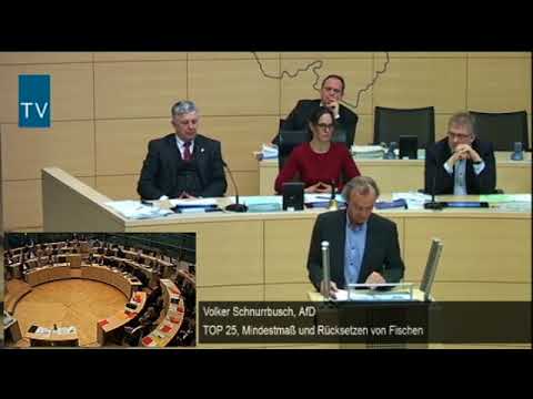 Volker Schnurrbusch zum Rücksetzen von Fischen / Fischereirecht