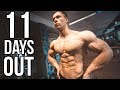 11 Days Out! Formcheck mit Mr. Universum
