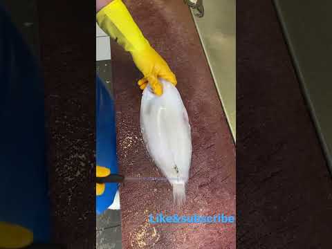 Nikofish: dover sole fish skin off