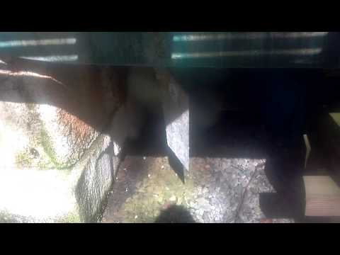 1973 Egg Harbor 33 Chrysler big block 440