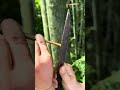 The Way The Girl Shows Her Skills Is Amazing Bushcraft Campping Hacks Outdoors Lifehacks Tips