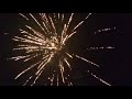 Toy Story 25 Shot Firework