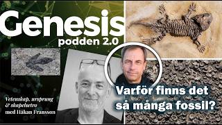 Thumbnail for video: Genesispodden 2.0 avsnitt 21 - Varför finns det så många fossil?