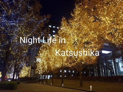 【観光PR動画】葛飾の夜を楽しむ