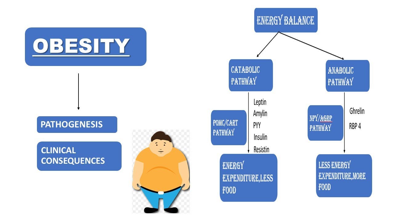 Obesity | Pathogenesis & it's Clinical Consequences | Doodle Animation | Simplified Explanation