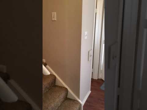 Pecan1919 (KC-AM) - Video 2 of 2