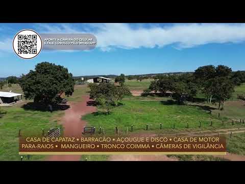 Terralmo 11:  Chácara à venda em Rio Negro/MS