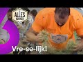 WAT EEN HEL: Zoeken naar een SPELD in een HOOIBERG! ? | De Alleskunner S4E2