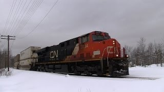 preview picture of video '100 TRAINS! CN 2234 at Washago (02FEB2014)'