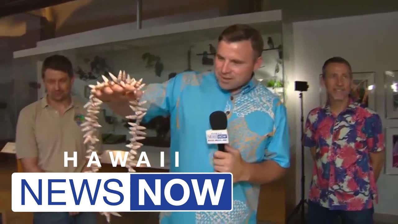 Highlighting Hawaiian land snails, Bishop Museum to host 2nd annual Kahuli festival