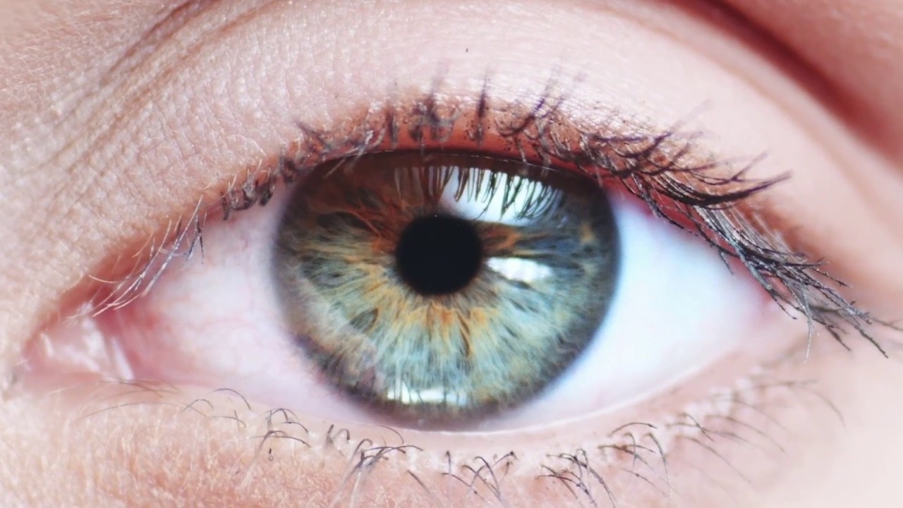 The Eye Of The Future