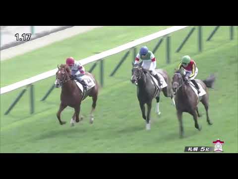 Schnell Meister (GER) 9/5/2020 Sapporo Race 5 Newcomer 1500m(Turf)