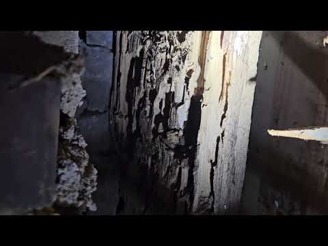 Severe Termite Damage Uncovered During Inspection in Far Hills, NJ