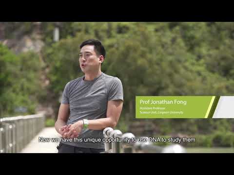 Lingnan University Impact with Care Video Series - Prof Jonathan Fong