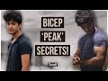 BICEP PEAK SECRETS How I Got My Biceps To Peak 7 SIMPLE STEPS Tamil