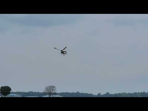 Kalt Baron 30 - IRCHA 2023 - James Zankl