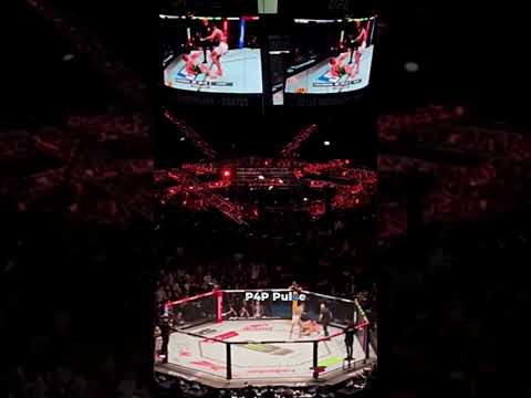 The ultimate boss of finishes ☠️ || #viral #shorts #mma #ufc #international #usa #boxing