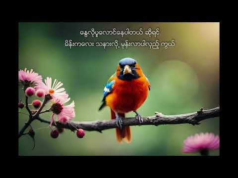 လွှမ်းမိုး (Hlwan Moe) - လူကိုယူပါ အသည်းကို ချမ်းသာပေးပါ (Lu Ko U Par A Thel Ko Chan Thar Pay Par)