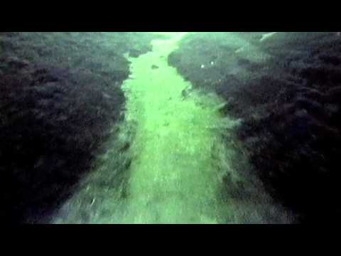 Funki Porcini AS THE CROW FLIES