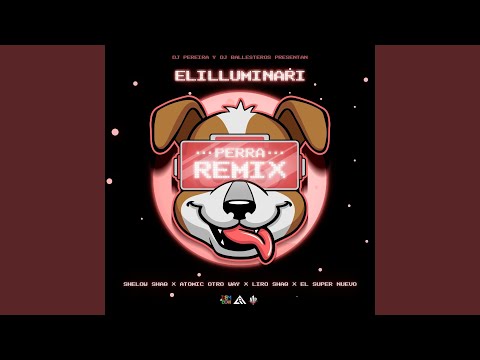Perra (feat. Liro shaq, El Super Nuevo) (Remix)