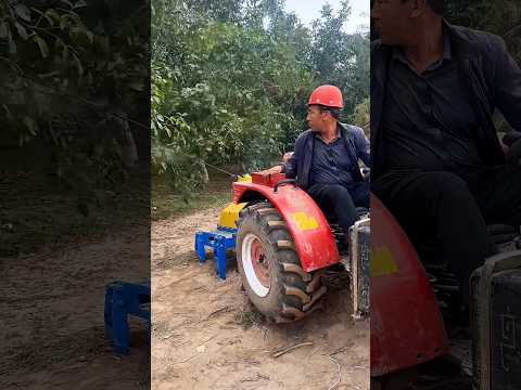 Bác Nông Dân Chế Máy Rung Thu Hoạch Óc Chó Từ Máy Cày Cũ