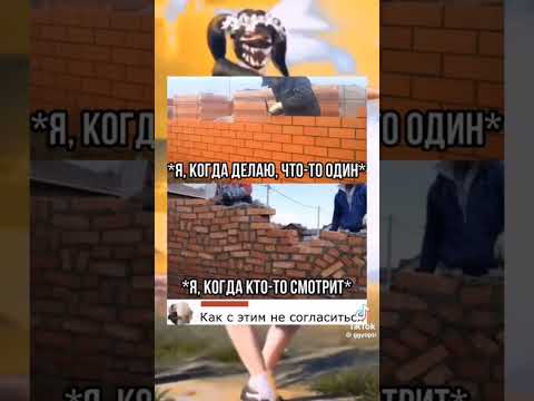 #мемчики #мемчик #реки #юмор #мемасики #юмор2024 #memes #рофл #дуэт #roflmemes #рекомендации #актив