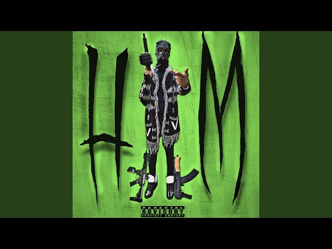 CAN'T TRUST BITCH IF I TRIED