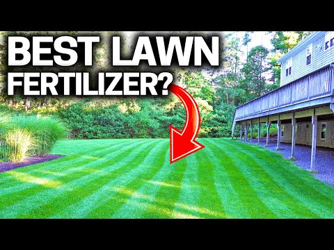 YouTube video about: Can I use a combination insecticide and fertilizer on my lawn?