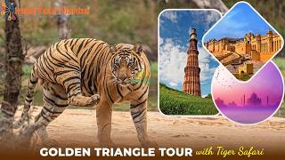 The ULTIMATE Golden Triangle Tour India Travel Guide | Delhi, Agra, Jaipur &amp;amp; Ranthambore 2026
