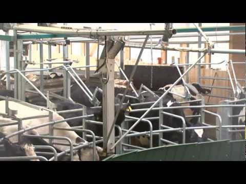 GEA Farm Technologies AutoRotor PerFormer - DE