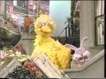 Sesame Street Big Bird Listens