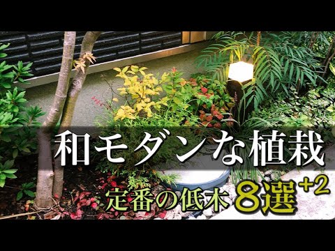 plantes vivaces graminées marches-métal-pierre-jardin