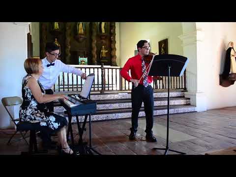 Jean Sibelius - Novellette  Op. 102  No. 1