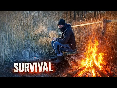 Survival on fish I made a fishing rod out of a stick 😀 #fish