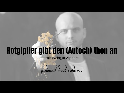 Rotgipfler gibt den (Autoch) thon an - mit Weingut Alphart