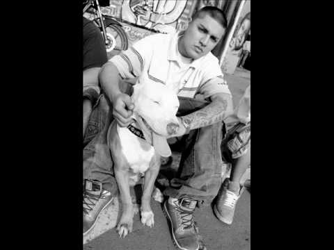 POCO DE VIDA - WARRIOR FEAT UMANO