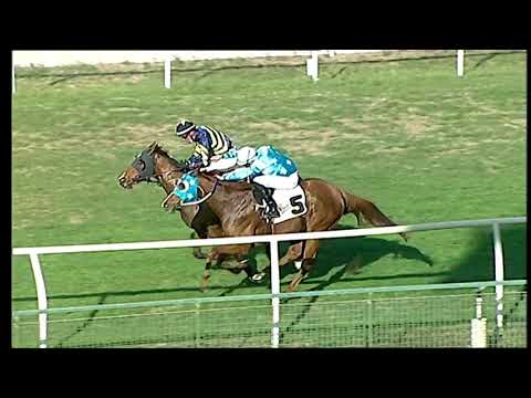 Galoppo 21/12/2020 - 2ª corsa