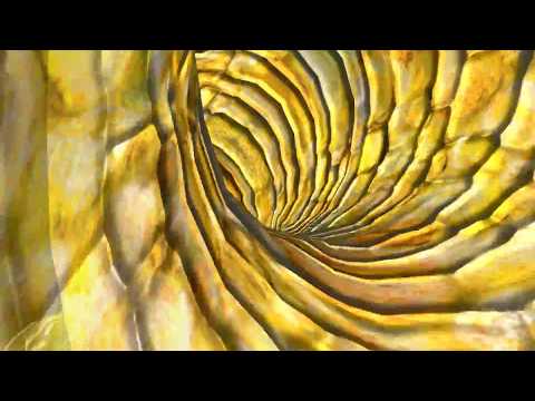 Komakino - Outface (High Quality Video)