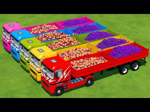 LOAD AND TRANSPORT APPLES & GRAPES WITH RIGI TRAC TRACTORS - Farming Simulator 22