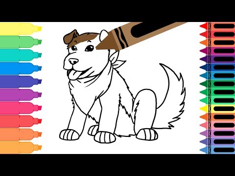 How to draw a dog - drawing a dog for kids - Coloring pages animals for kids | Tanimated Toys Video