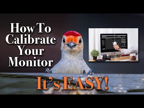 How to Calibrate Your Monitor - IT'S EASY!