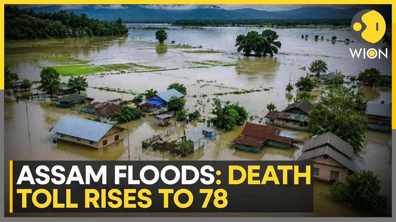 Assam Floods: IMD Warning Raise Fears Of Renewed Flooding | WION News