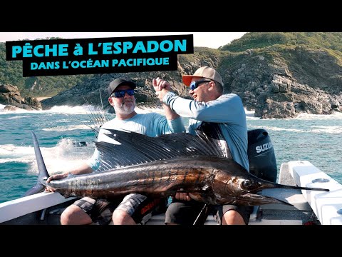 First Sea Fishing and First Sailfish! | Roadfish - Season 9 Episode 1